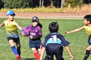 410992132_361679956554142_8907805185928754073_n