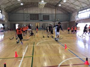 20106414_795587520597450_2457039491517224249_n