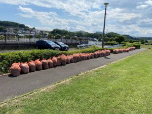 189511805_519839599035499_5403928390658655372_n