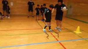 20245879_860212817463312_4709734236103926756_n