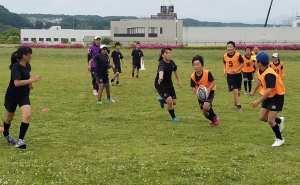 60624195_1291674604317129_671165245036691456_n