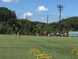 13876624_949286081883280_266164492699116936_n