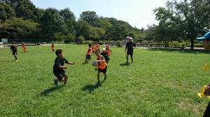 21462634_884866604997933_1224685841037760093_n