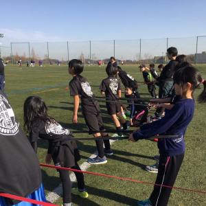 25443080_869128206590498_7423786039726488070_n