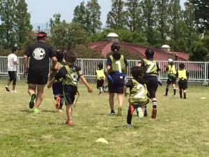 13233067_815703558560705_3553581566481270347_n