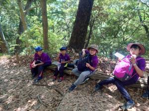 441453932_3675365739403986_7195726576375363613_n