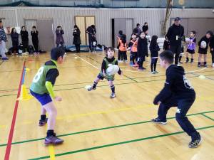 24899760_927029254115001_1525659445468648475_n