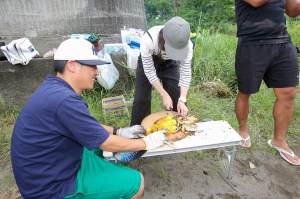 353385656_6116463131805580_2220032736210003337_n