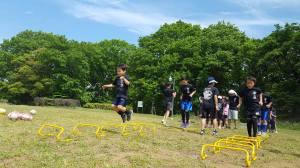 18268373_790336291131715_6422989392208772425_n