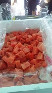 21370897_884895061661754_5711605979139704747_n