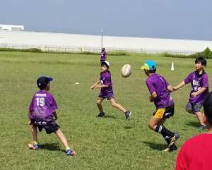 118265184_1699062850244967_6754221426761504553_n