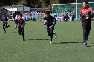 28058675_903367753166543_2259552206916070175_n