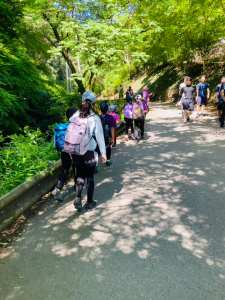 444769843_3377245462419848_2988250751381396092_n