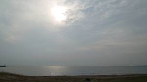 356133853_3463929013880994_4135195803577262859_n