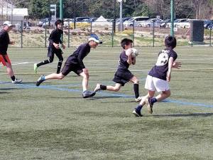 29512854_984769295007663_1215887656594468909_n