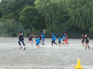 35062772_970288259794041_7517935369375973376_n