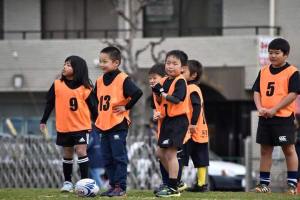 1958485_776377555826639_6794299199080473686_n