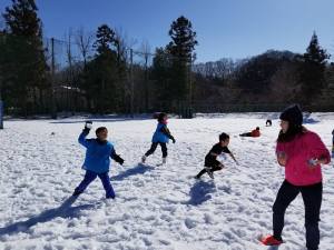 21687695_951765061641420_8240644686418695114_n