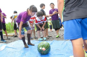 353383716_6116458821806011_5644755470693329650_n