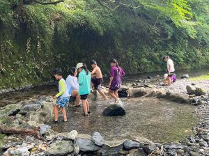 450887418_7860917140695814_645367823890788438_n