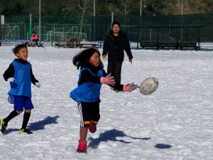 27459730_951775804973679_5225598509136677451_n