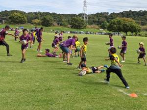 381452306_1546905886115370_4073707446033749277_n