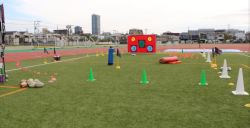 準備_ラグビーコーナー