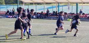 75380468_1432302630254325_7613415099411202048_o