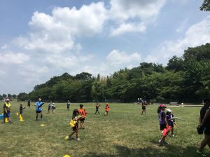 37661440_1611431982302396_8207407384230887424_n