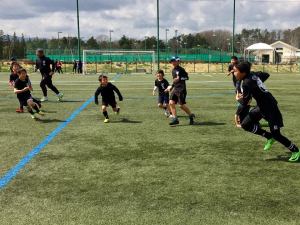 29598281_928236030665931_999368263022697058_n