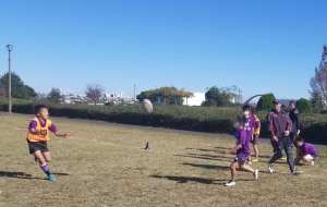 126482315_1778286008989317_2445499171209103958_n