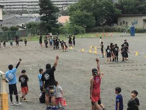 36718452_996398250516375_1867518519797612544_n