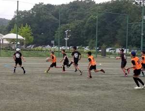 65654049_1319373264880596_21627767380508672_n