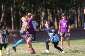 411162602_6787389968046223_1594399489355225025_n