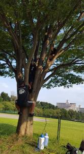 21463238_860899567408720_4949802537950151515_n