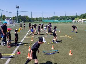 31403921_1004505606367365_4612256995674685440_n