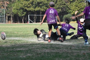 410840372_361687039886767_798561071710285206_n