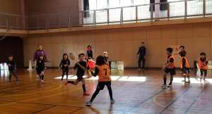 86703289_1527700250714562_4556137458336530432_n