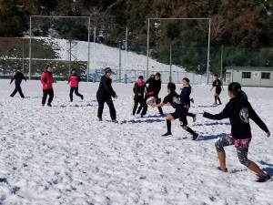 27459892_951774948307098_6844408871708243989_n