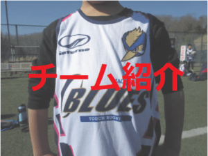 76c691c22c7ef40a64aa64b04f05e90c-300x224