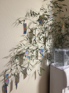 448867956_7790533564359316_4585551959583247497_n