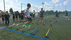 23517848_913289665488960_7952423396296765083_n