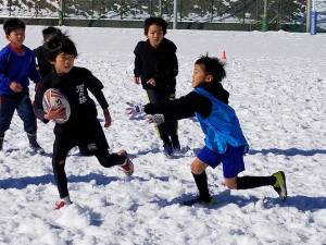 27459427_951771818307411_67382939231665703_n